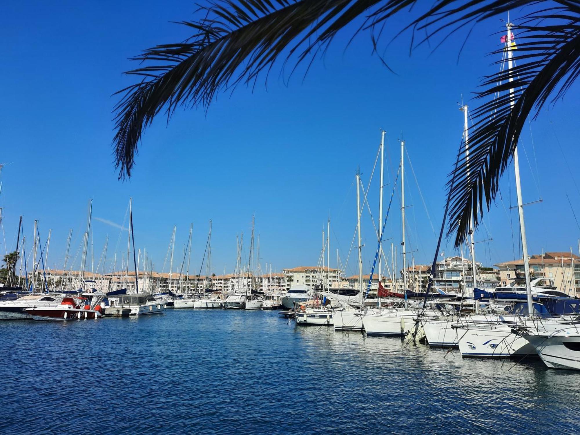 Coeur Marina Climatise Terrasse Parking Lejlighed Fréjus Eksteriør billede